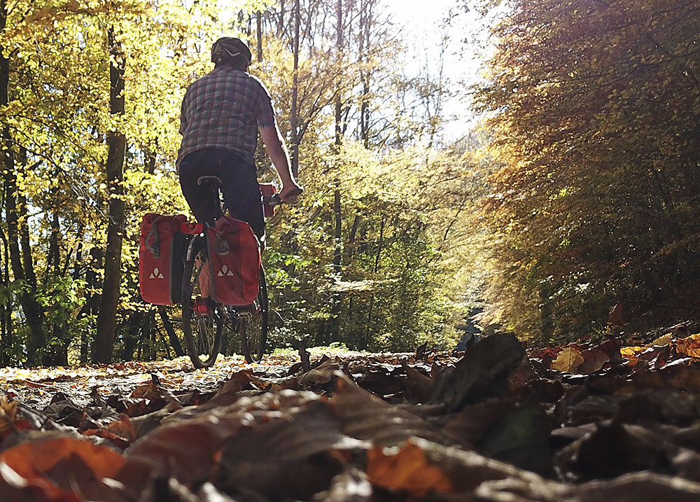 Herbst-Fahrrad.jpg