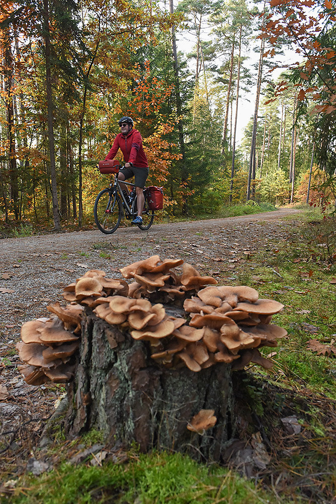 Radfahren-im-Herbst.jpg
