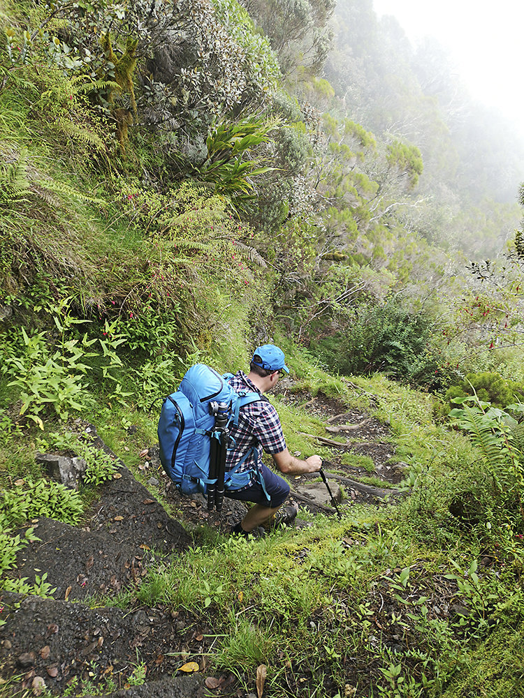 La-Reunion-Hiking.jpg